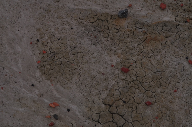 bisti wilderness